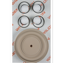 Wilden KIT, WET, 2"/O/P/TWS