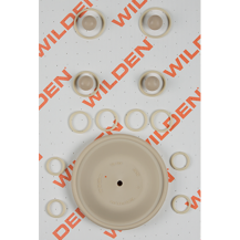 Wilden KIT, WET, 1"/A/P/WFS Wilden KIT, WET, 1"/A/P/WFS