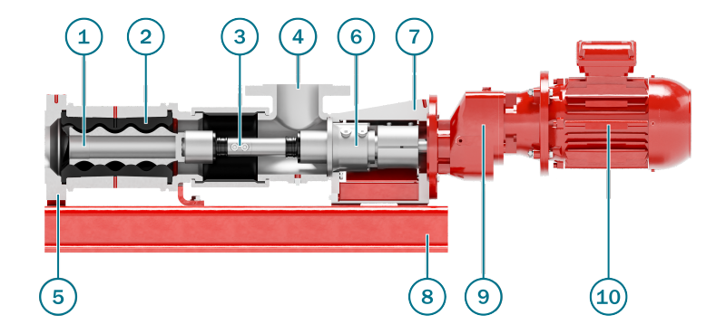 Eine im Querschnitt dargestellte Exzenterschneckenpumpe, bei der s&auml;mtliche wesentlichen Bauteile sichtbar sind. Die einzelnen Komponenten sind zur besseren Erl&auml;uterung nummeriert und eindeutig gekennzeichnet.