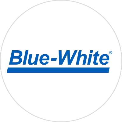Blue- White logo