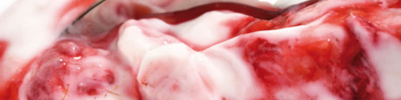 Čerpání viskózních potravinářských produktů Ovocný jogurt jako příklad viskózního a citlivého potravinářského produktu vhodného pro šetrné čerpání dvoušroubovým čerpadlem