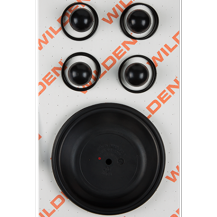 Wilden KIT, WET, 2"/A/P/BNS