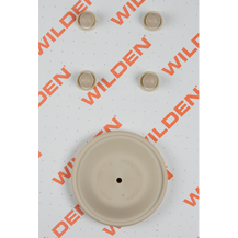 Wilden KIT, WET, 1"/A/M/FSS Wilden KIT, WET, 1"/A/M/FSS