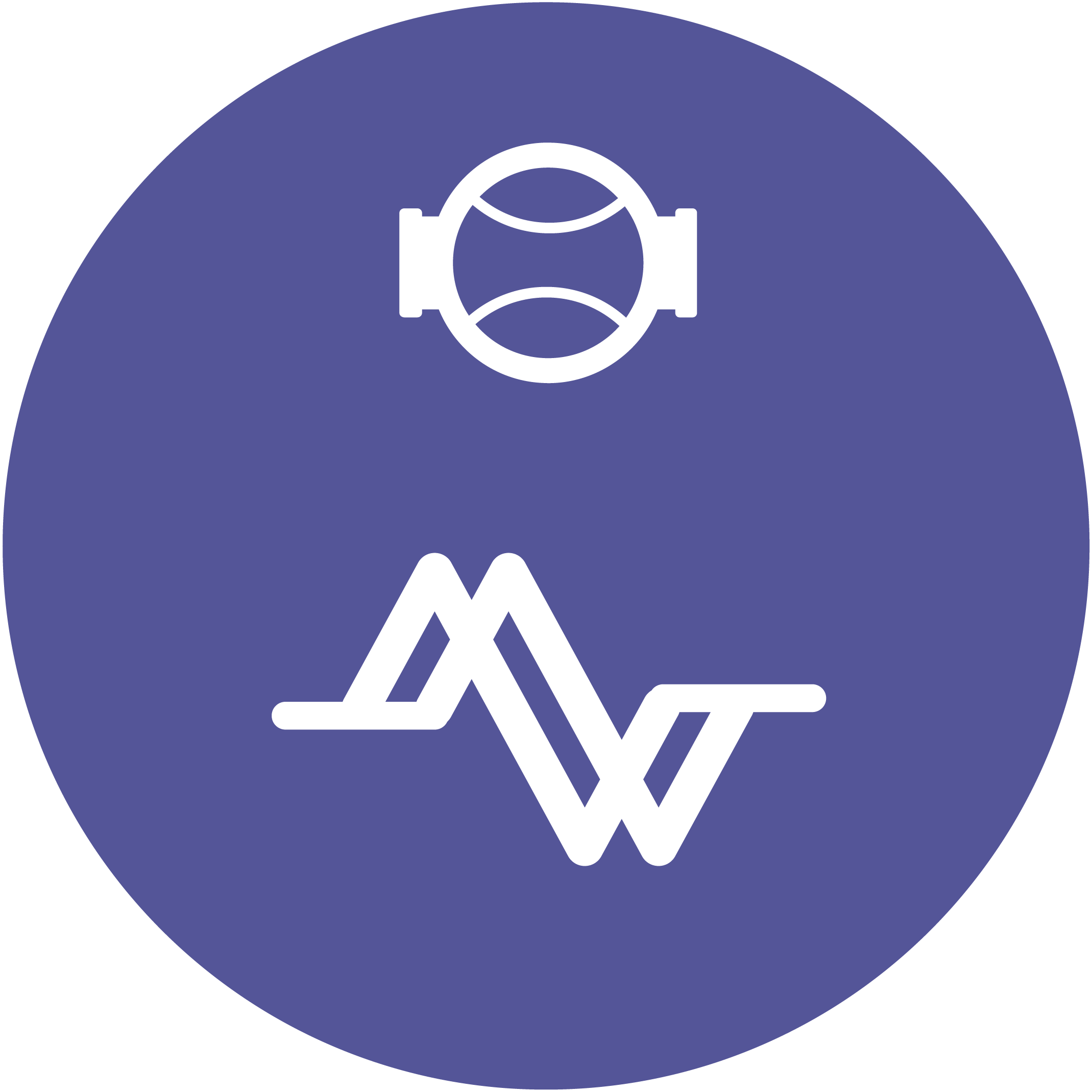 Coriolis Flow Meters