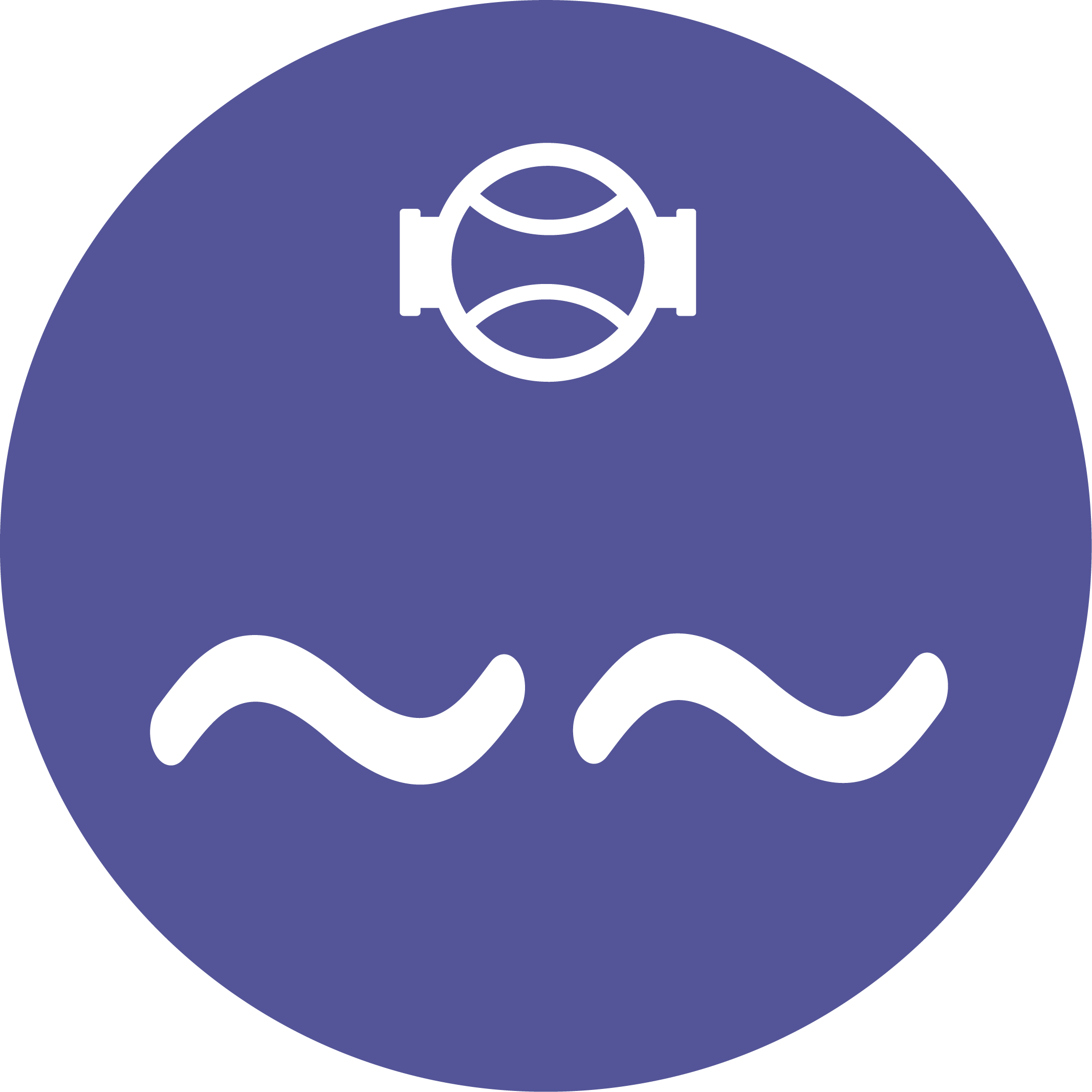 Ultrasonic Flow Meters