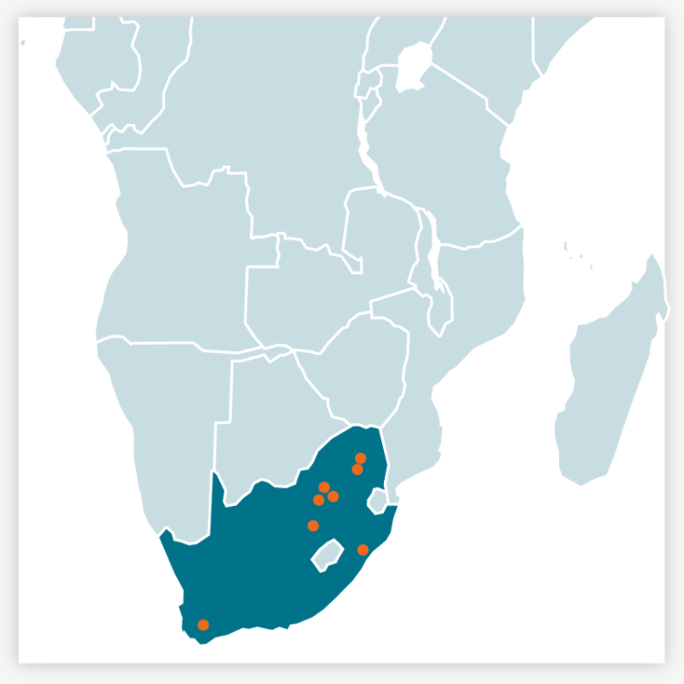 AxFlow Offices in African continent