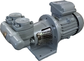Pompe Johnson Pump TopGear L