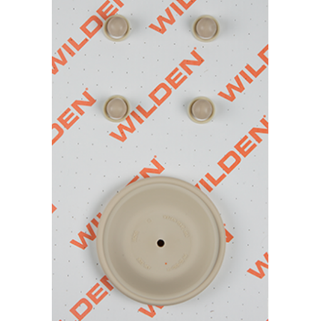 Wilden KIT, WET, 1"/A/M/WFS_gallery_1