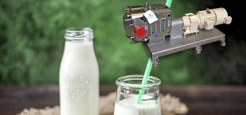 Waukesha verdringerpompen bij Farm Dairy voor het verpompen van zuivel. Waukesha verdringerpomp voedingsmiddelen zuivel