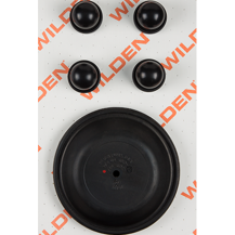 Wilden KIT, WET, 1.5"/D/M/VTS