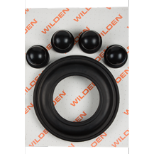 Wilden KIT, WET, 3"/D/S/VTS