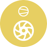 Radial Radial