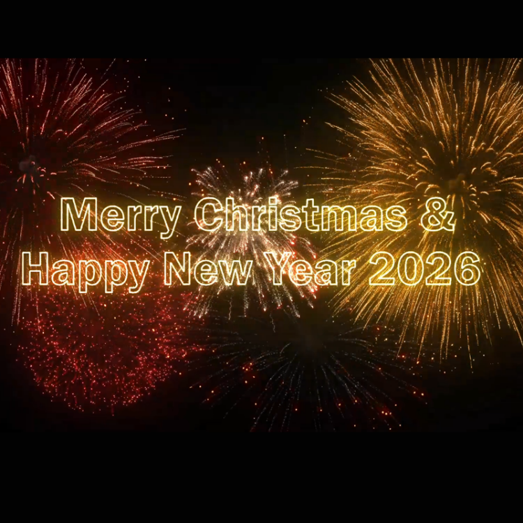 AxFlow wishes Merry Christmas & Happy New Year!
