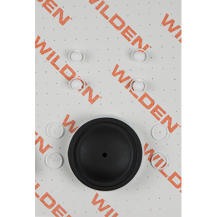 Wilden KIT, WET, 0.5"/O/M/TNU