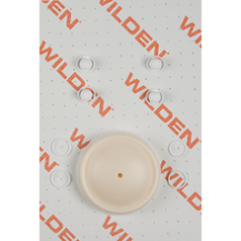 Wilden KIT, WET, 0.5"/O/M/TSU